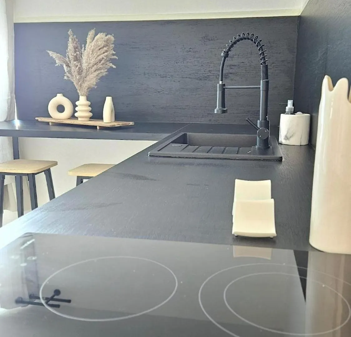 Charming Independent Studio Scionzier Lejlighed